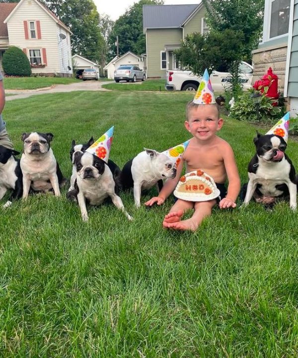 dog adoption near me